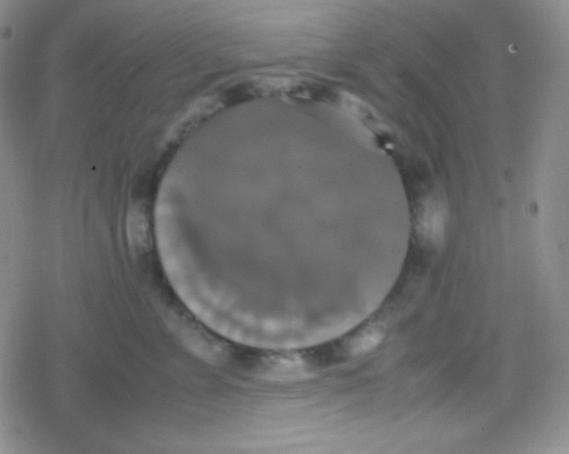 X0000079320715200612081934