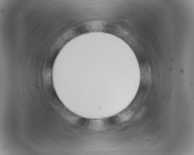 X0000079320717200612081934