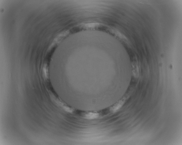 X0000079320718200612081934