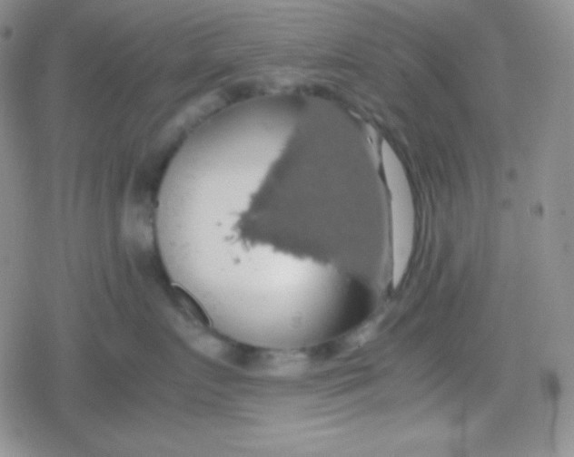 X0000079320719200612081934