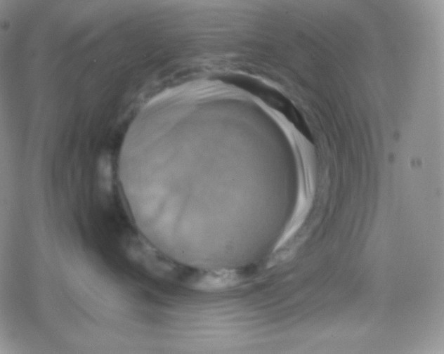 X0000079320720200612081934