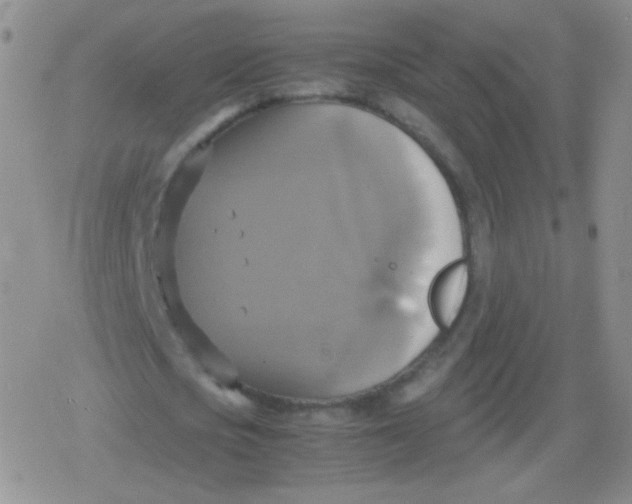 X0000079320721200612081933