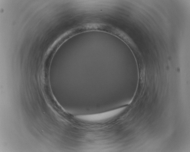 X0000079320722200612081933