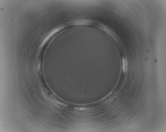 X0000079320723200612081933