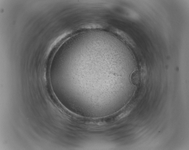 X0000079320727200612081933