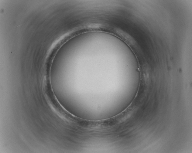 X0000079320728200612081933