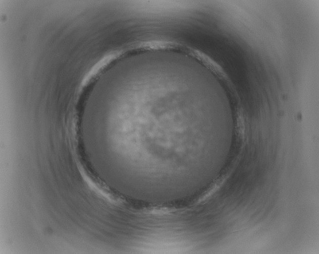 X0000079320730200612081933