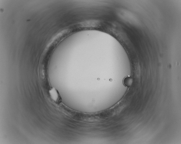 X0000079320731200612081933