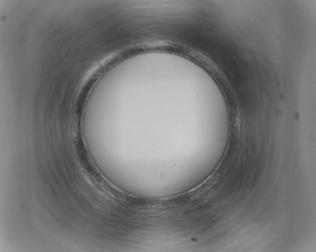 X0000079320732200612081933