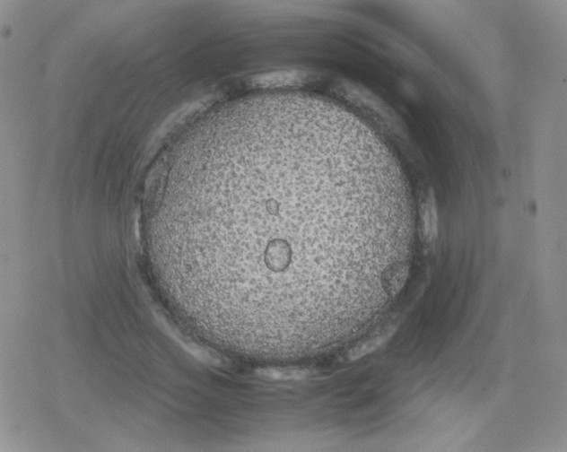 X0000079320733200612081933