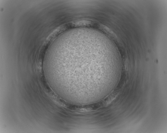 X0000079320737200612081933