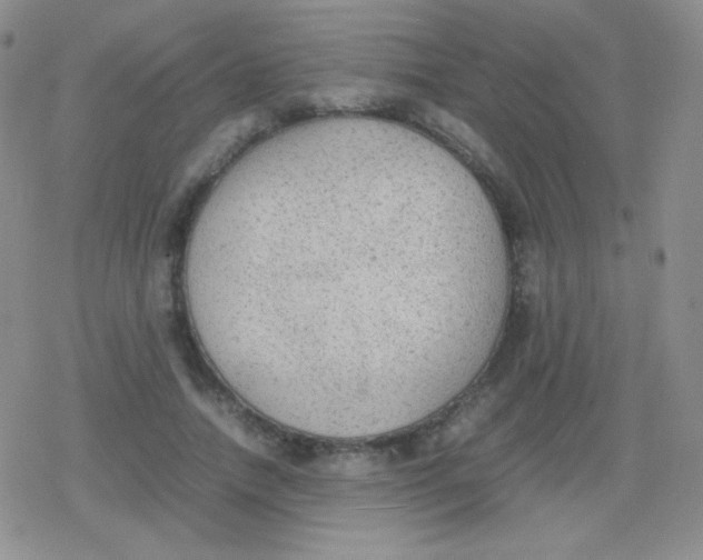 X0000079320738200612081933