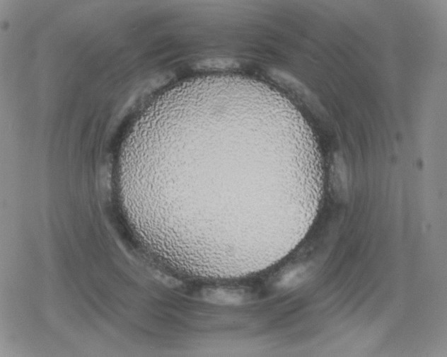 X0000079320739200612081933