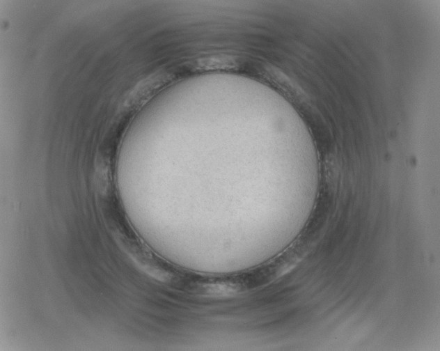 X0000079320741200612081933