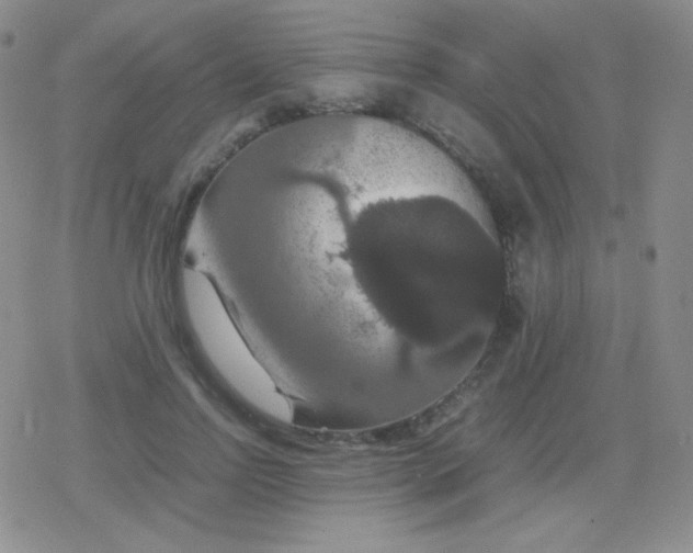 X0000079320742200612081934