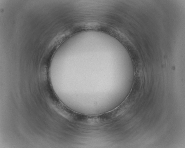 X0000079320744200612081934