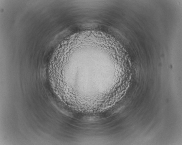 X0000079320745200612081934