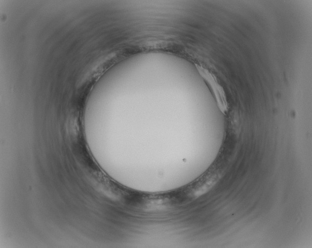 X0000079320746200612081934