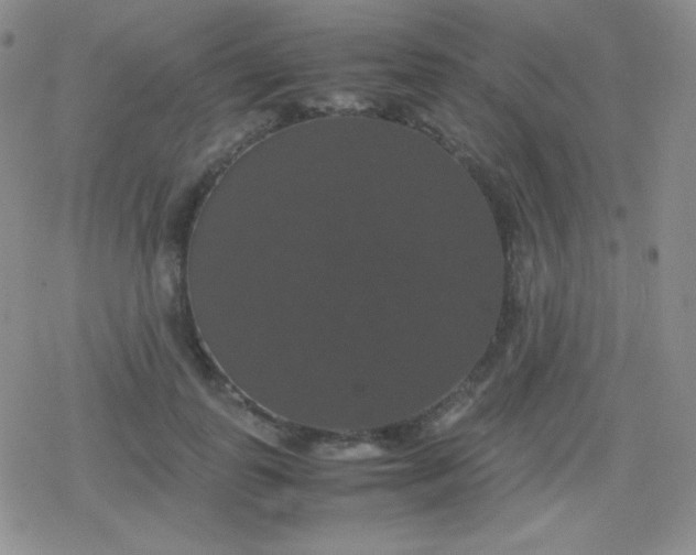 X0000079320747200612081934