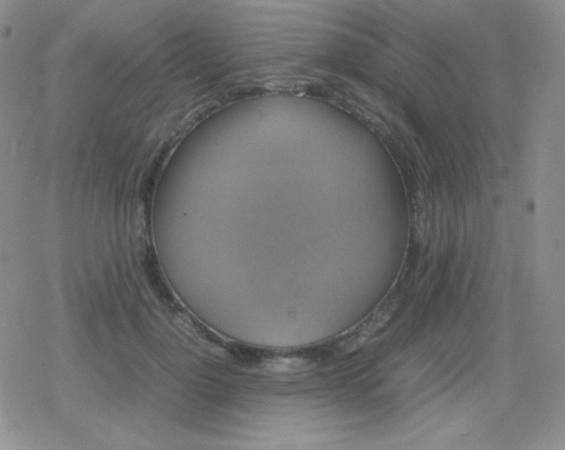 X0000079320748200612081934