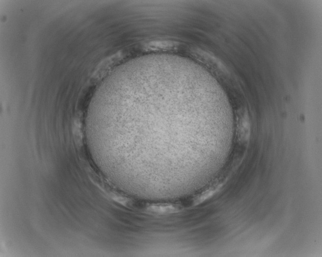 X0000079320749200612081934