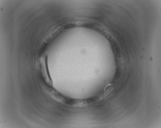 X0000079320750200612081934