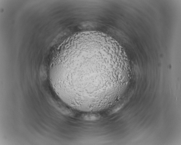 X0000079320751200612081934