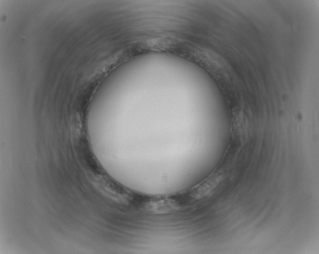 X0000079320752200612081934