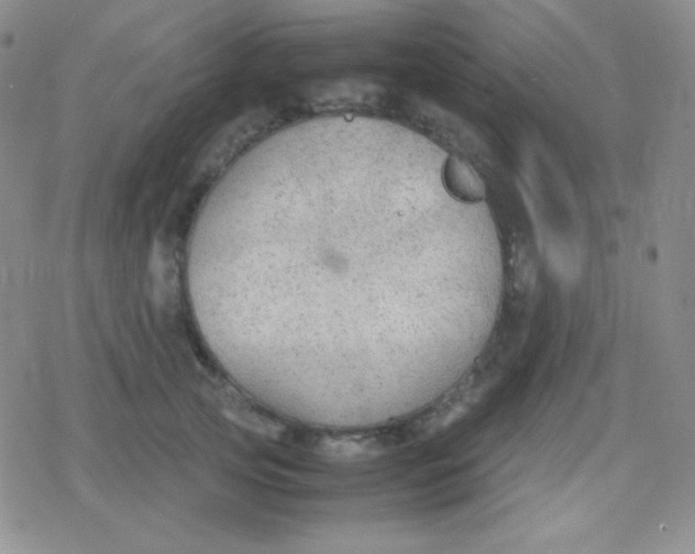 X0000079320753200612081934