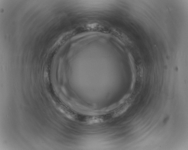 X0000079320754200612081934