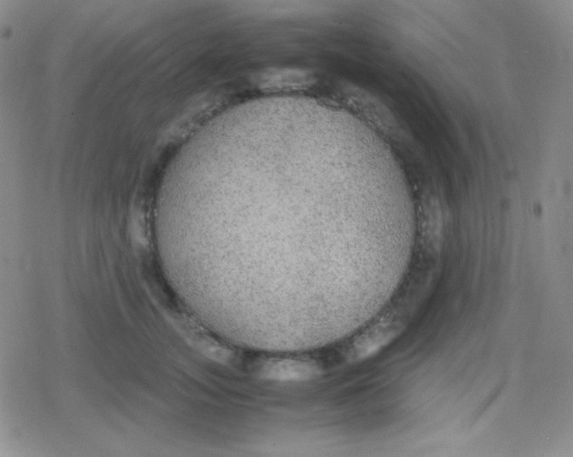 X0000079320755200612081934