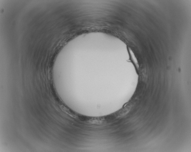 X0000079320756200612081934