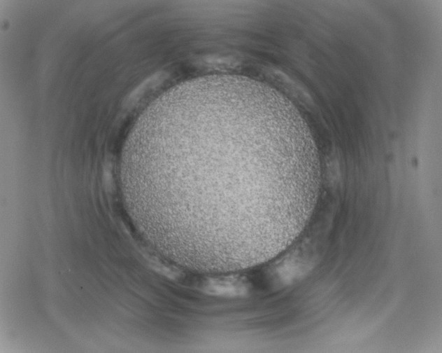 X0000079320757200612081934