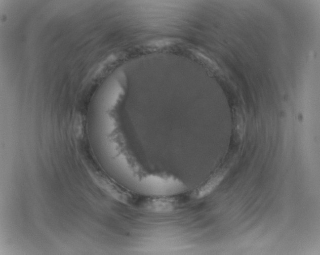 X0000079320758200612081934