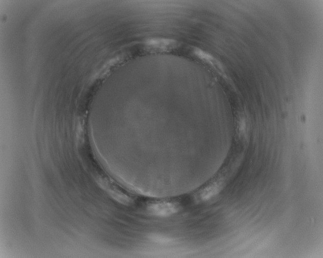 X0000079320759200612081934