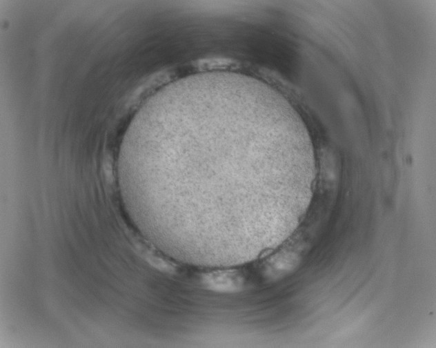 X0000079320761200612081934