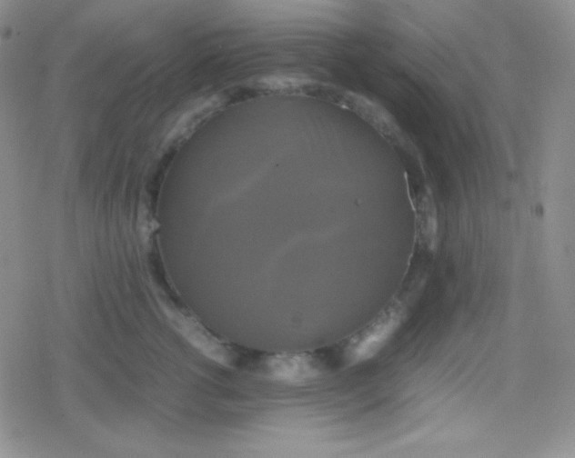 X0000079320762200612081934