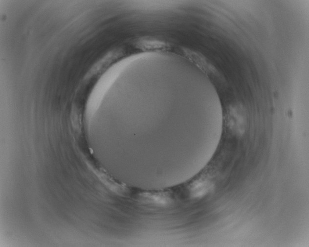 X0000079320763200612081934