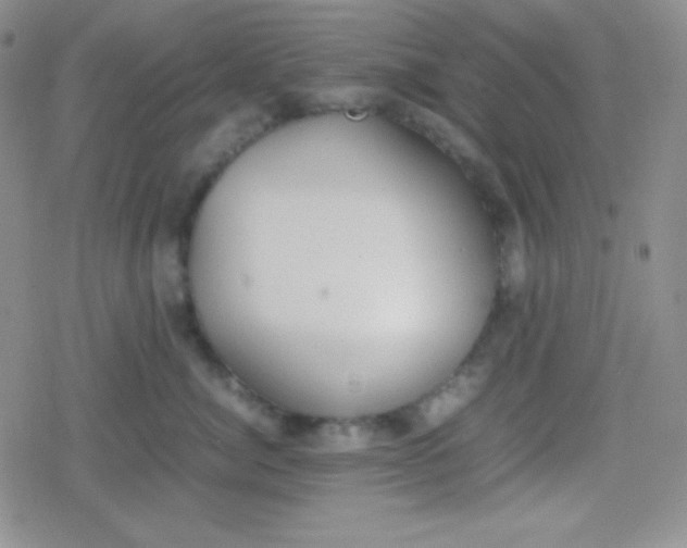 X0000079320764200612081934