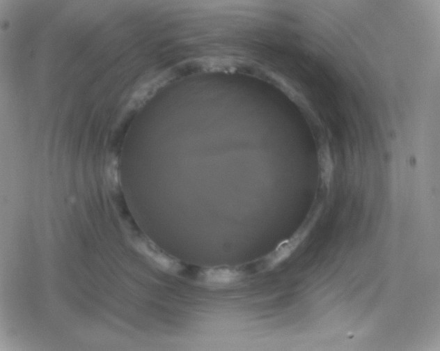 X0000079320766200612081934