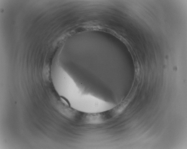 X0000079320767200612081934