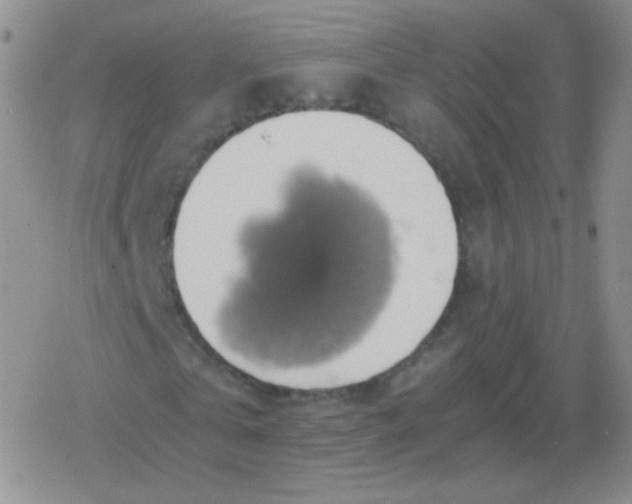 X0000079320769200612081933