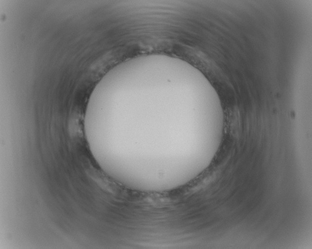 X0000079320770200612081933