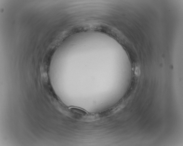 X0000079320771200612081933