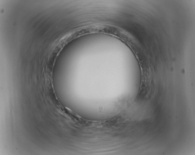 X0000079320773200612081933