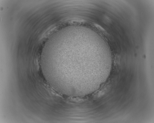 X0000079320774200612081933