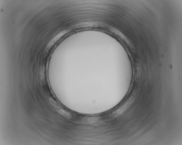 X0000079320778200612081933