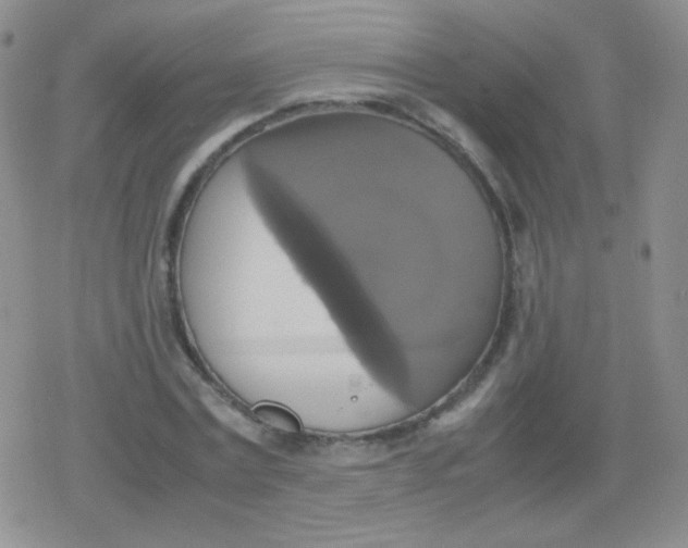 X0000079320779200612081933