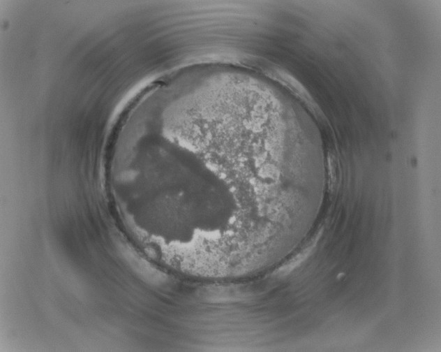 X0000079320780200612081933