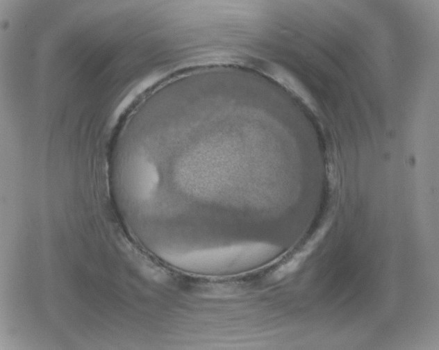 X0000079320781200612081933